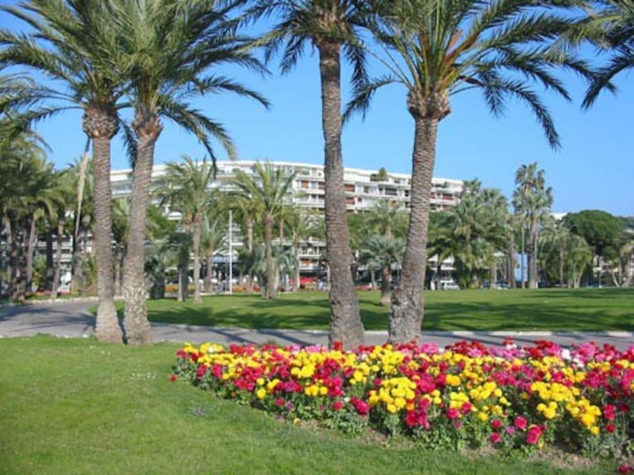 Cannes Palm Beach Parking, Clim, Wifi Plage 2' A Pieds Eksteriør billede